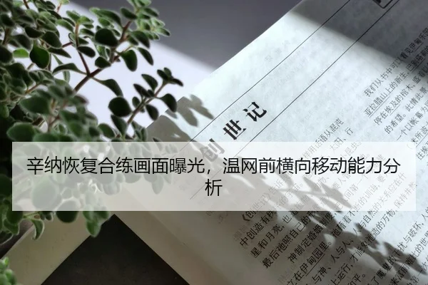 xin-na-hui-fu-he-lian-hua-mian-bao-guang-wen-wang-qian-heng-xiang-yi-dong-neng-li-fen-xi-2-538.jpg