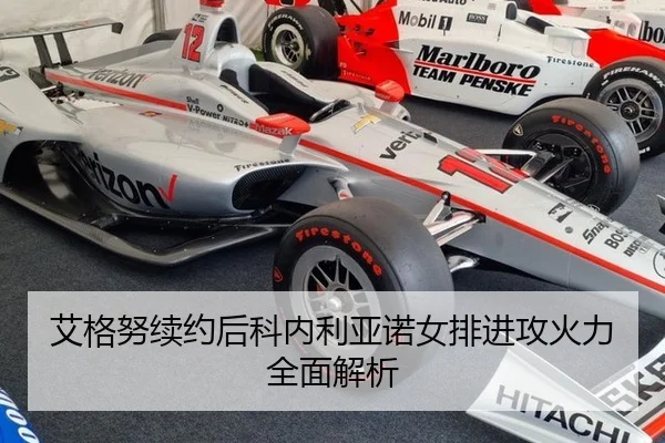 艾格努续约后科内利亚诺女排进攻火力全面解析