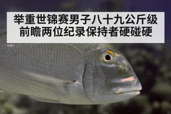 举重世锦赛男子八十九公斤级前瞻两位纪录保持者硬碰硬